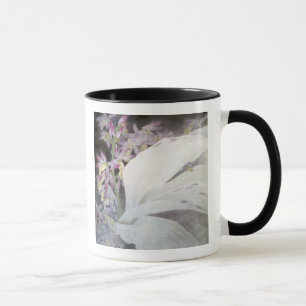 Blume Seires II Phaiuses Tasse