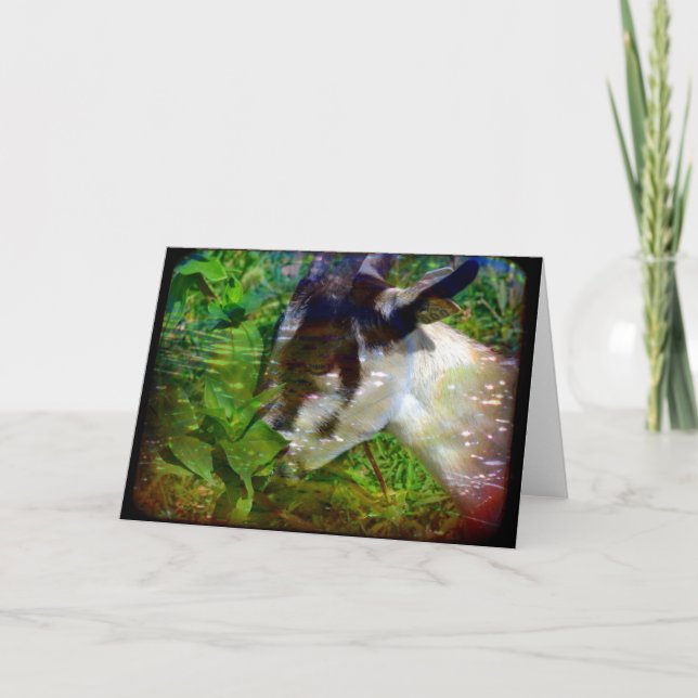 Blume sind auch Lebensmittel Karte (Vorderseite)