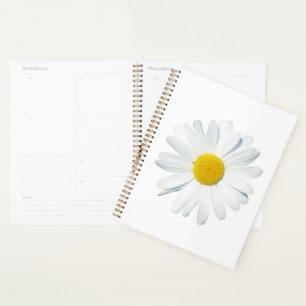 Blume Single Daisy Planer