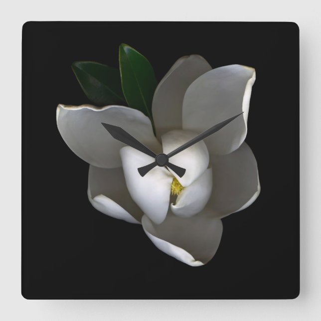 Blume | Single White Magnolia Blossom Quadratische Wanduhr (Vorderseite)