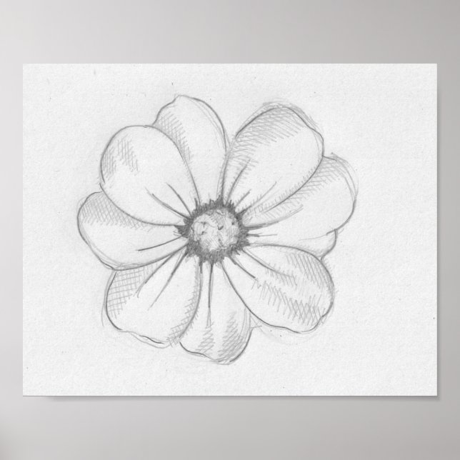 Blume Sketch Poster (Vorne)