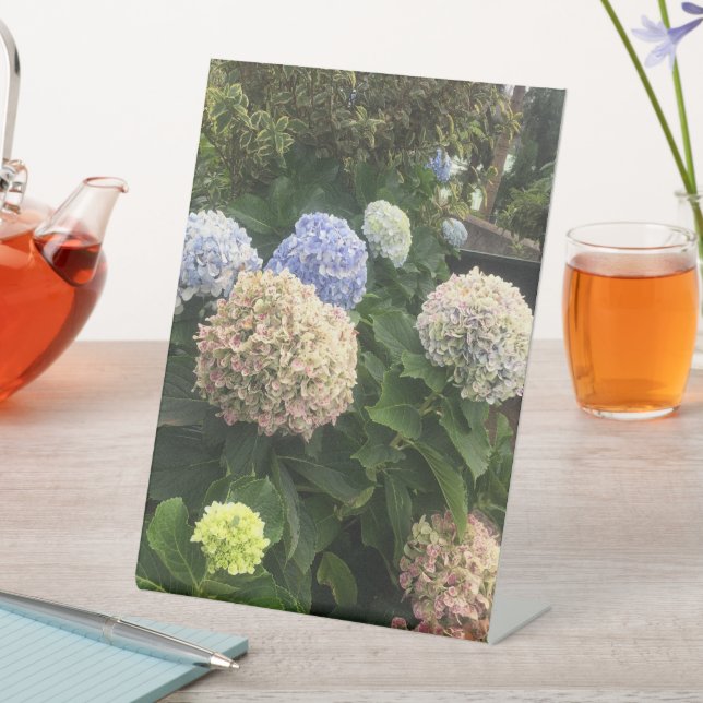 Blume Sockelschild (In Situ)