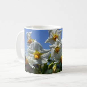 Blume Solanum tuberosum Kaffeetasse