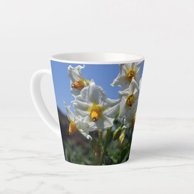 Blume Solanum tuberosum Milchtasse (Linke Ecke)
