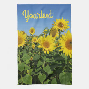 Blume, Sonne, Pflanze, Natur, Sommer, Geschirrtuch