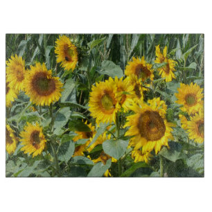 Blume, Sonne, Pflanze, Natur, Sommer, Schneidebrett