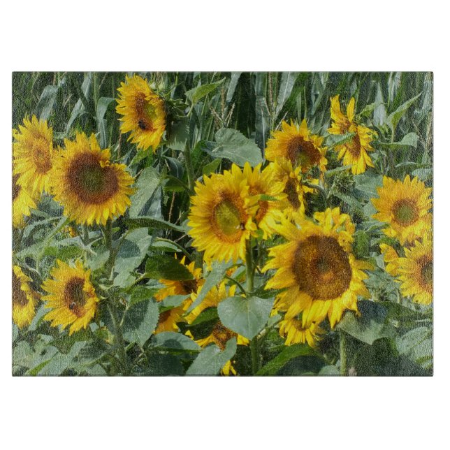 Blume, Sonne, Pflanze, Natur, Sommer, Schneidebrett (Vorderseite)