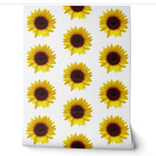 Blume Sonnenblume Tapete