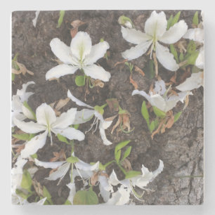 Blume Steinuntersetzer