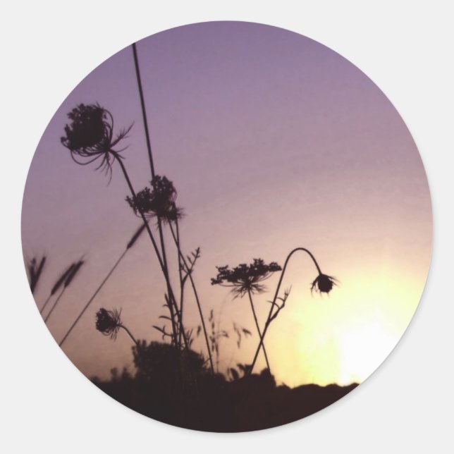 Blume Sunset Stickers (Vorderseite)