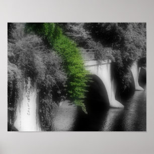 Blume teilweise farbig poster