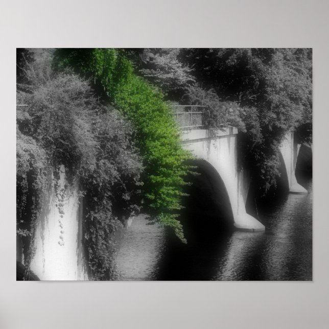 Blume teilweise farbig poster (Vorne)