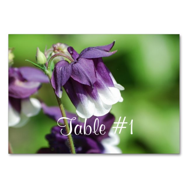 Blume Tischnummer (Vorderseite)