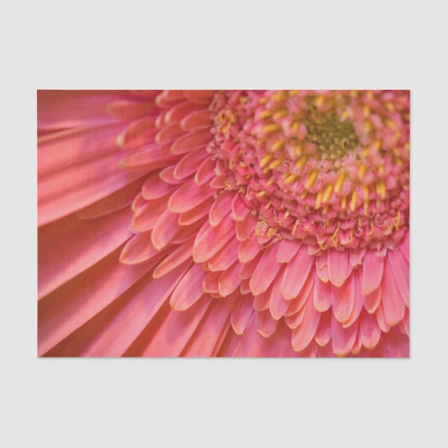 Blume Tissue Paper Seidenpapier (Vorderseite)