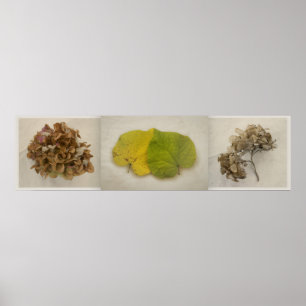 Blume tryptich poster