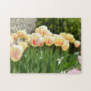 Blume Tulip Festival - Martha Argerich Projekt Puzzle