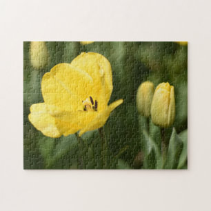 Blume Tulip Festival - Martha Argerich Projekt Puzzle