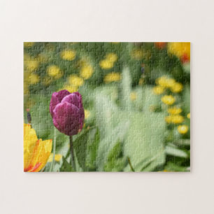 Blume Tulip Festival - Martha Argerich Projekt Puzzle