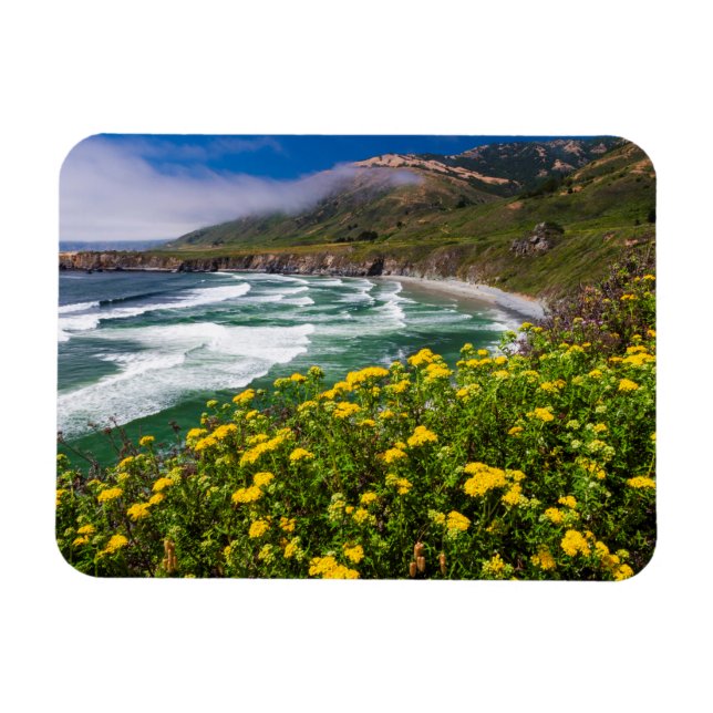 Blume über Sand Dollar Beach Magnet (Horizontal)