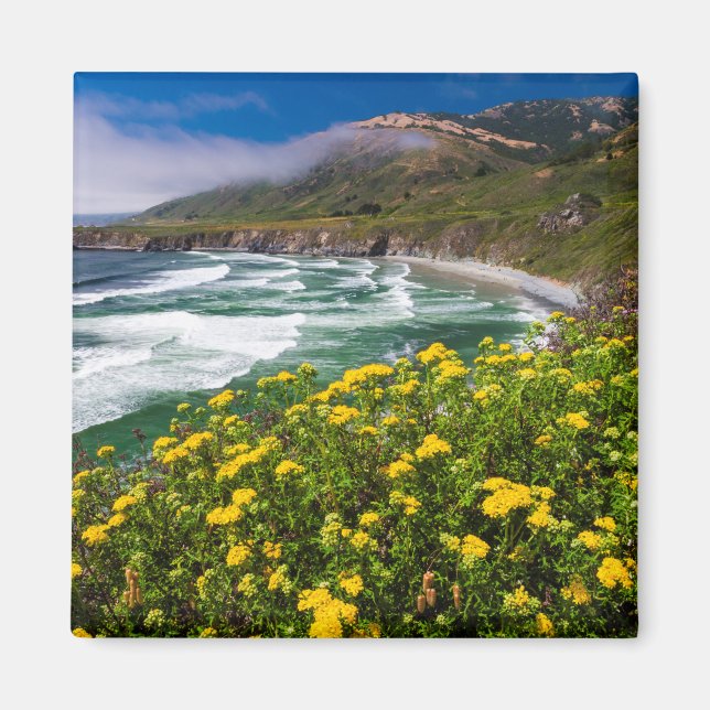 Blume über Sand Dollar Beach Magnet (Vorne)