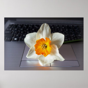 Blume über Tastatur Poster