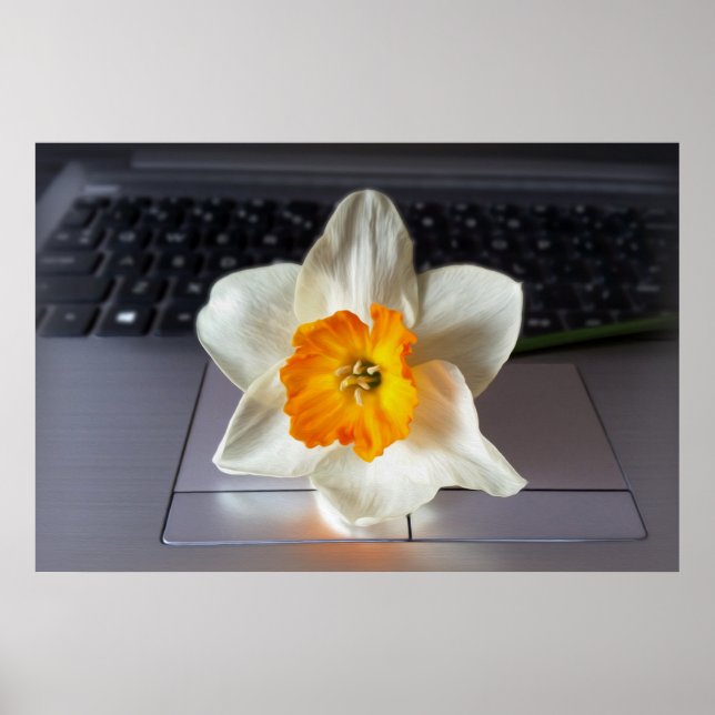 Blume über Tastatur Poster (Vorne)