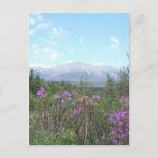Blume und Berge Postkarte