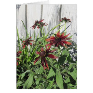 Blume und Bienen im Garten - Blank