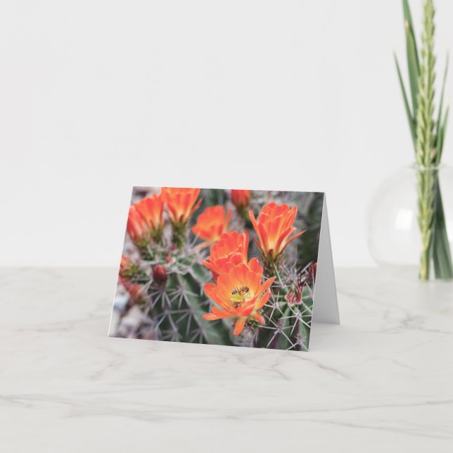 Blume und Bienen | Sunset Blossoms Note Card Dankeskarte (Vorderseite)