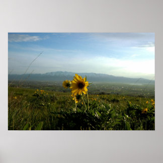 Blume und Gebirge Wellsville Poster