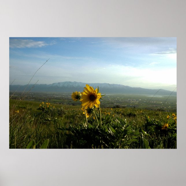 Blume und Gebirge Wellsville Poster (Vorne)