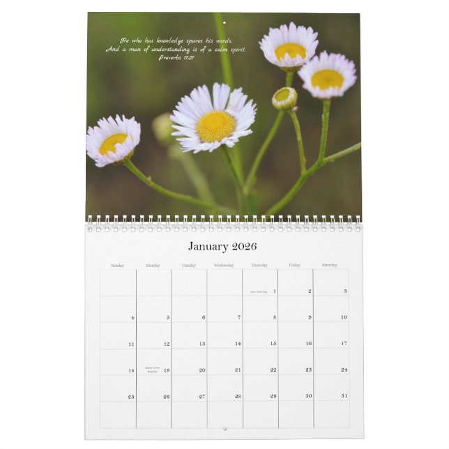 Blume und Glaubensbibliotheken Kalender 2024 (Jan 2026)