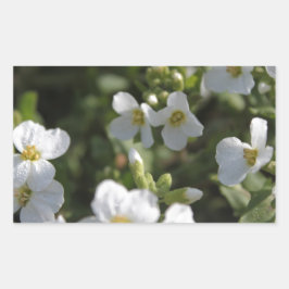 Blume und grüne Blätter in einem weißen Sommergart Rechteckiger Aufkleber