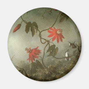 Blume und Hummingbirds von Martin J Heade Magnet