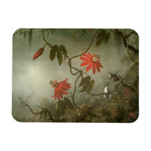 Blume und Hummingbirds von Martin J Heade Magnet