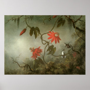 Blume und Hummingbirds von Martin J Heade Poster