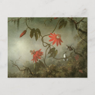 Blume und Hummingbirds von Martin J Heade Postkarte