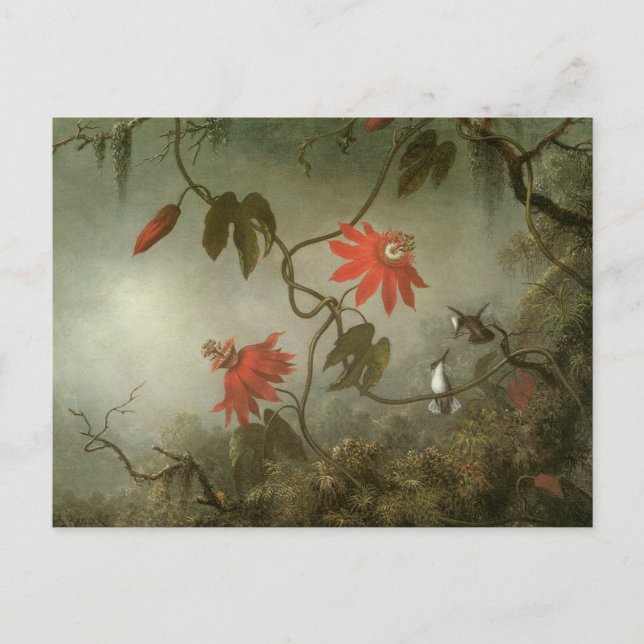 Blume und Hummingbirds von Martin J Heade Postkarte (Vorderseite)