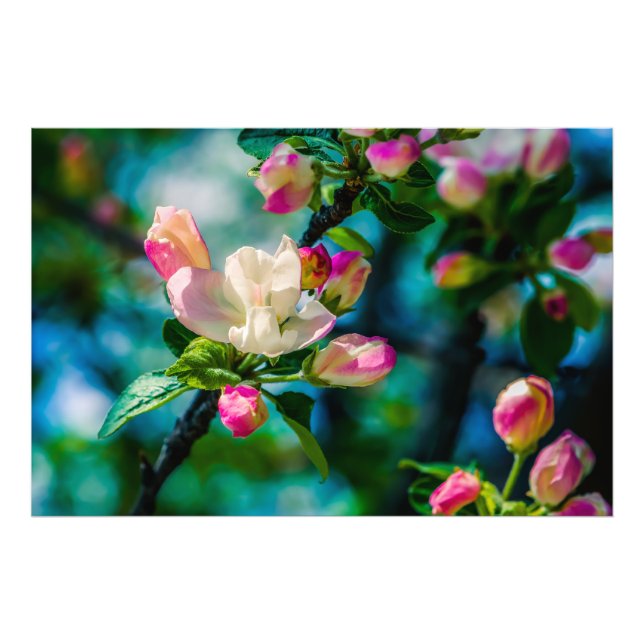 Blume und Knospen Fotodruck (Vorne)