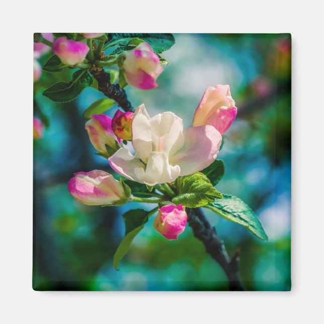 Blume und Knospen Magnet (Vorne)