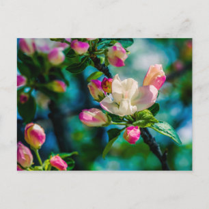 Blume und Knospen Postkarte