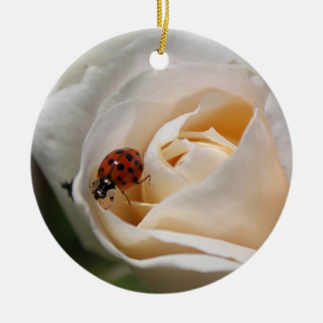 Blume und Ladybug Keramik Ornament (Vorne)