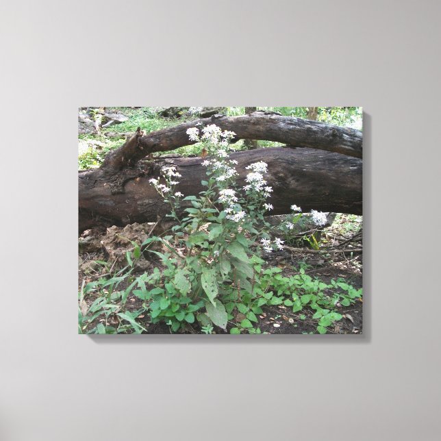 Blume und Leinwand protokollieren (Vorderseite)