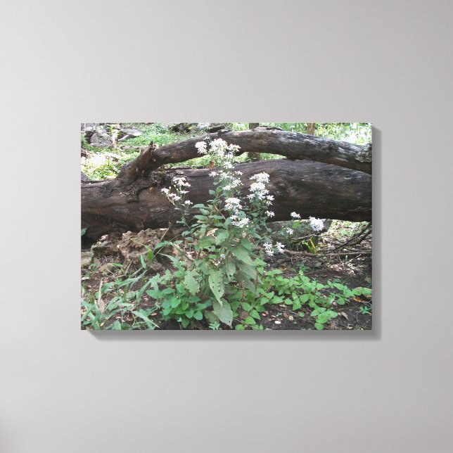 Blume und Leinwand protokollieren (Vorderseite)