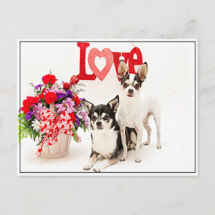 Blume und Liebe Postkarte