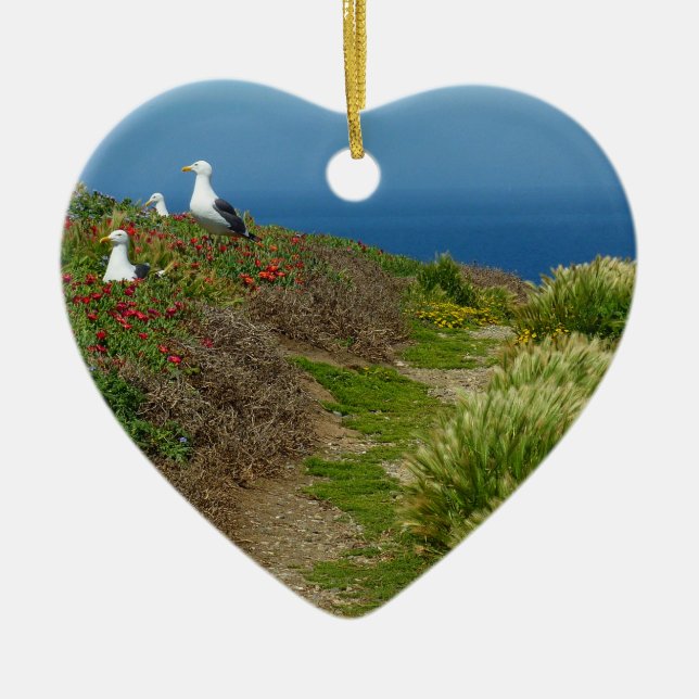 Blume und Möwen auf Anacapa Island Keramik Ornament (Vorne)