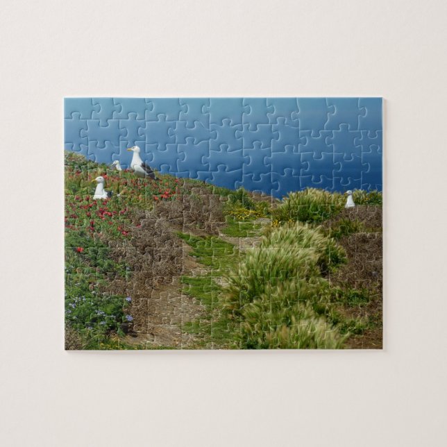 Blume und Möwen auf Anacapa Island Puzzle (Horizontal)