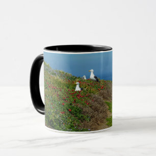 Blume und Möwen auf Anacapa Island Tasse