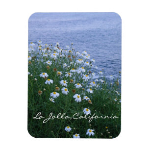Blume und Ozean in La Jolla Magnet