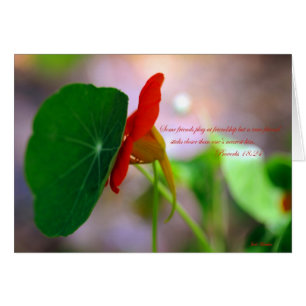 Blume und Pflanze lehnen sich aufeinander ab.